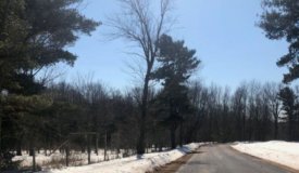 Buildable Hunting Parcel in Marathon County WI