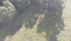 80 acre Hunting Camp in Adams County WI