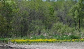 Land for Sale in Washington County