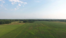 Wisconsin Hunting Land for Sale Wood County 80 Acres