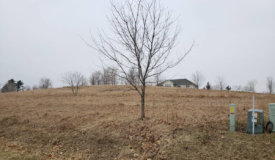 Buildable Lot in Onalaska Wisconsin