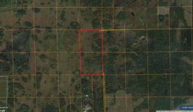 80 Acres of Wood County Hunting Land