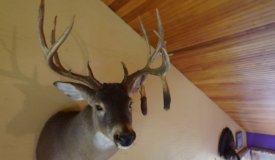 South Central Whitetail Dream Property Marquette County