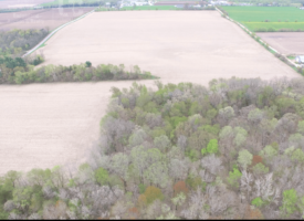 Screen Shot 2019-05-13 at 7.54.16 PM