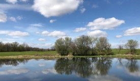 70.5 Acres Buildable, Tillable and Hunting Columbia County