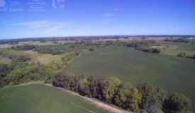 Tillable/Hunting Land For Sale-Dodge County