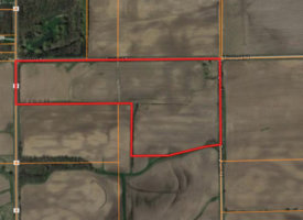 Screen_Shot_2019-08-09_at_10.10.30_AM