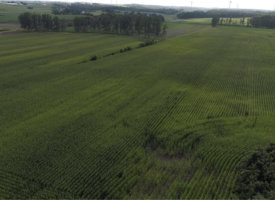 Screen_Shot_2019-08-09_at_10.43.32_AM