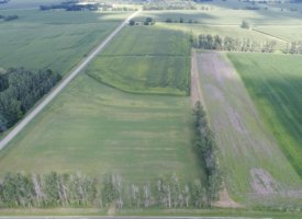 Screen_Shot_2019-08-09_at_10.44.26_AM