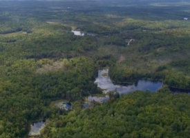 69492049_426825857940274_751782657355939840_n