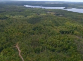 69626726_1123716124684577_2512071790986002432_n