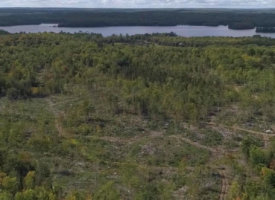 69630157_2431823730471539_261388651617845248_n