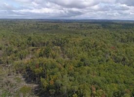 69658168_2413103722087963_8179192425508503552_n