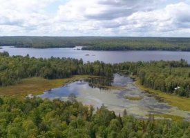 69778649_467641337299284_7529645945600868352_n