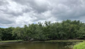 Wisconsin River Hunting Land in Columbia County
