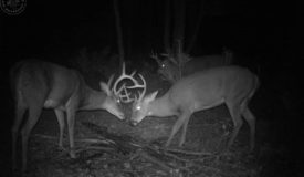 Columbia County Hunting Land for Sale