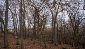 Hunting, Fishing and Recreational Property in Monroe County WI