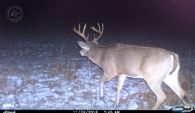 A True Trophy Property in Langlade County WI