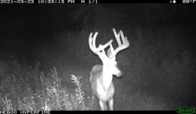 307 Acre Sportsman’s Paradise in Waupaca County WI