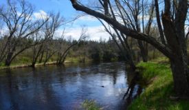 Exceptional building and hunting parcel located in Central Wisconsin