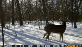18 Acres Adams County, WI