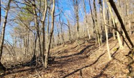 Recreational Paradise in Monroe County WI