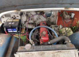 IMG_20200622_140006774_HDR