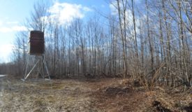 Langlade County Hunting Parcel