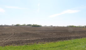 Crop Land For Sale in Dodge County, WI