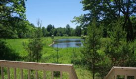 Buildable Mixed Land in Juneau County WI
