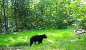 Hunting and Recreational Property in Marathon County WI