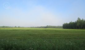 80+/- Acre Buildable Parcel Marathon County WI