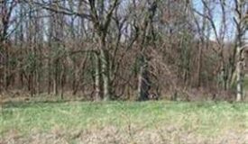 Great Build Site Marquette County WI