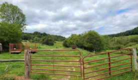Monroe County Buildable, Horse and Hunting Property