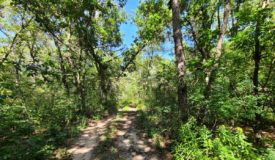 PRIME 26+/- Acre LaCrosse County WI Parcel