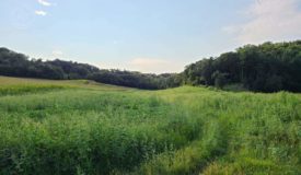 70 Acre Hunting Parcel in Monroe County WI