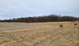 90 Acre Hunting Parcel in Monroe County WI