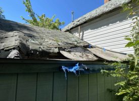 Photo Aug 30, 12 36 13 PM