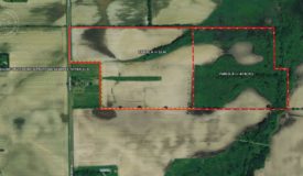 95 Acres hunting/recreational land, Columbia County, Rio