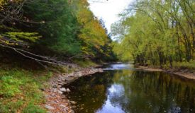 Quality Turn Key Hunting Parcel Marathon County WI