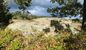 3+/- Acres Juneau County WI