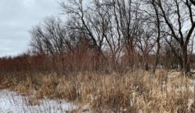 Great Hunting Parcel with Income Potential Winnebago County WI