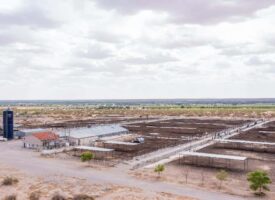 3. Sun Valley Dairy Aerial 2