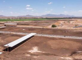 7c1d0557-f277-4379-83e8-1c7cbb1223fe (1)