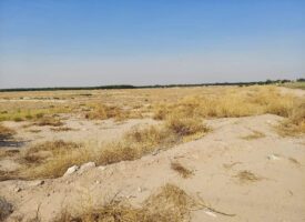 River Valley Tract 4 Pic 3