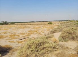 River Valley Tract 4 Pic 5