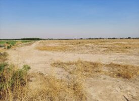 River Valley Tract 4 Pic 6