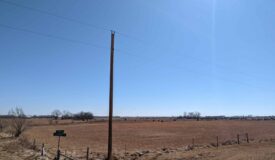 LIVE LAND AUCTION, 37 ACRES M/L, BURRTON,RENO COUNTY, KANSAS