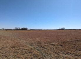 00000 E K50 HWY, BURRTON, PIC 2