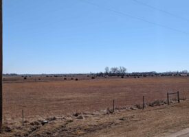 00000 E K50 HWY, BURRTON, PIC 3